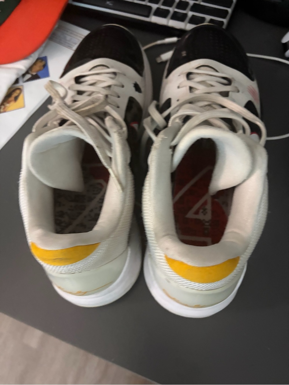 Kobe 5 Reverse Bruce Lee - Picture 4 of 6